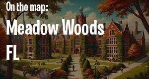 City: Meadow Woods, FL