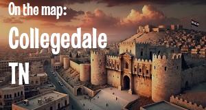 City: Collegedale, TN