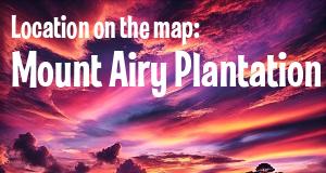 Mount Airy Plantation photo