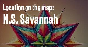 N.S. Savannah photo