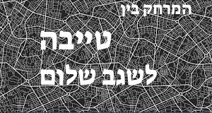 טייבה - שגב שלום