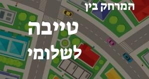 טייבה - שלומי