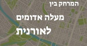 מעלה אדומים - אורנית