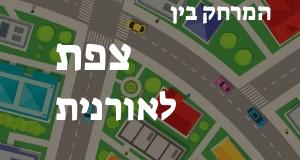 צפת - אורנית