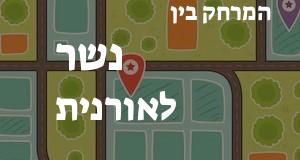 נשר - אורנית