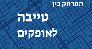 טייבה - אופקים
