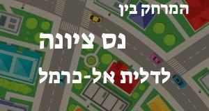 נס ציונה - דלית אל-כרמל