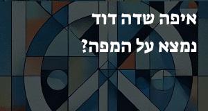 איפה שדה דוד נמצא על המפה? הנה המיקום המדויק! 