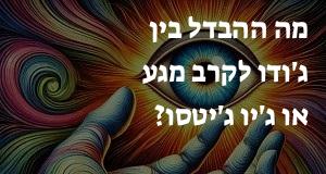 מה ההבדל בין ג'ודו לקרב מגע או ג'יו ג'יטסו?