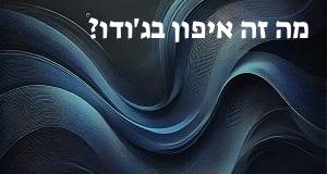 מה זה איפון בג'ודו?