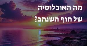 מה האוכלוסיה של חוף השנהב?