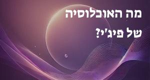 מה האוכלוסיה של פיג'י?